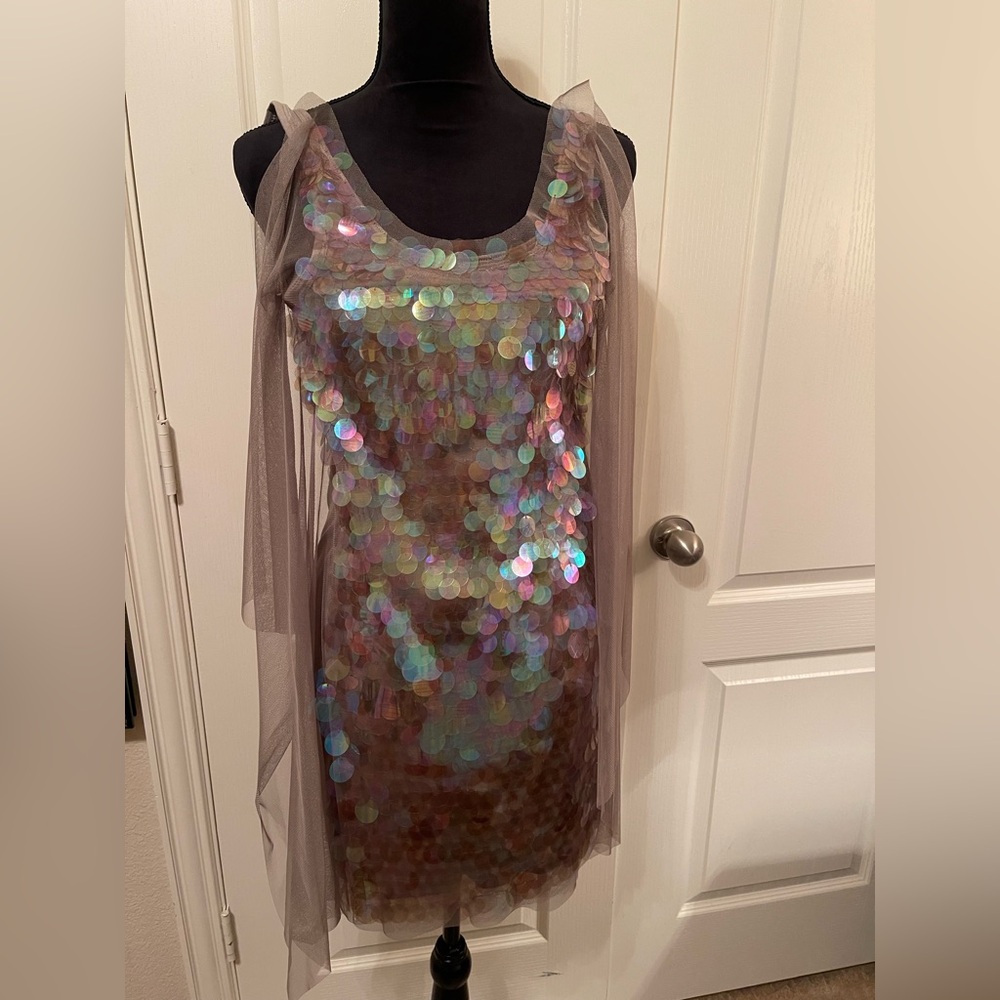 Iridescent Sequin Dress